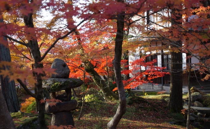 Feuer und Flamme! – Wieso Kyoto?